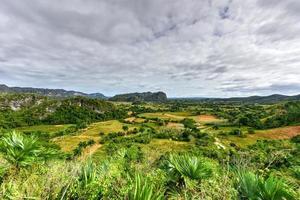 vue panoramique sur la vallée de vinales, cuba. photo