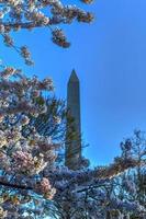 monument de washington et fleurs de cerisier au bassin de marée au printemps à washington, dc. photo