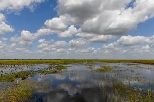 zone humide de la floride dans le parc national des everglades aux états-unis. endroit populaire pour les touristes, la nature sauvage et les animaux. photo