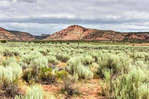 formations rocheuses le long de la route du canyon johnson dans l'utah, états-unis. photo