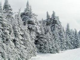 Sentiers couverts de neige dans une station de ski d'hiver dans le Vermont photo