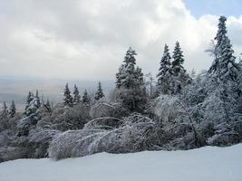 Sentiers couverts de neige dans une station de ski d'hiver dans le Vermont photo