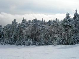 Sentiers couverts de neige dans une station de ski d'hiver dans le Vermont photo