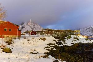 hiver à reine, îles lofoten, norvège. stocks pour le séchage du poisson la nuit. photo