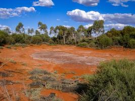 paysage de l'outback australien. végétation de brousse en saison sèche avec du sable rouge dans le parc du désert à alice springs près des chaînes de macdonnell dans le territoire du nord, centre de l'australie. photo