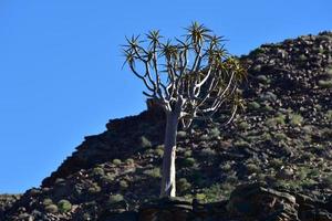 fish river canyon - namibie, afrique photo