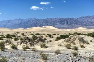 dunes de sable plat mesquite, vallée de la mort photo