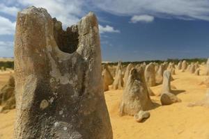 désert des pinacles, australie photo