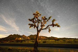 beau paysage dans le parc national de joshua tree en californie la nuit. photo