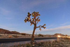 beau paysage dans le parc national de joshua tree en californie la nuit. photo