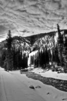 paysage enneigé frais à travers la rivière grise dans le wyoming, états-unis pendant l'hiver. photo