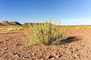 fish river canyon - namibie, afrique photo