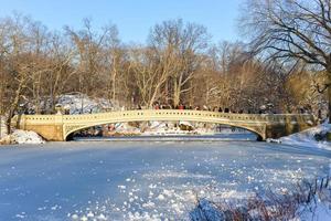 pont en arc, parc central, new york photo