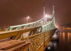 pont de la liberté - budapest, hongrie photo