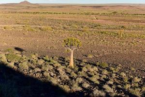 fish river canyon - namibie, afrique photo