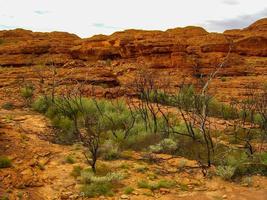 vue panoramique sur kings canyon, centre de l'australie, territoire du nord, australie photo