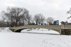 pont en arc, parc central, new york photo