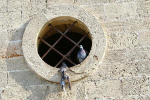 une petite fenêtre dans un immeuble résidentiel dans une grande ville photo