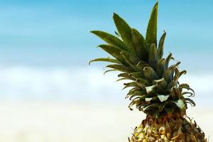 ananas sur la plage photo