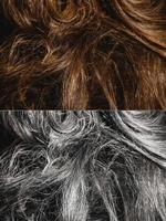 vieillissement prématuré des cheveux, vieillissement, coloration ou traitement spécial de récupération photo