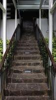 un escalier avec des sols en pierre naturelle recouverts de plantes ornementales à gauche et à droite. photo