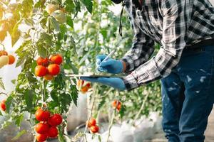 l'agriculture utilise des tablettes de contrôle de la production pour surveiller la qualité des légumes et des tomates en serre. agriculteur intelligent utilisant une technologie photo