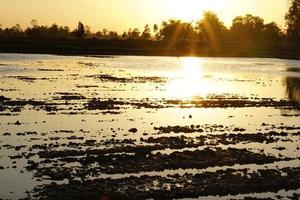 préparation des terres au coucher du soleil pour la plantation du riz en thaïlande photo