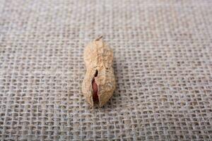 cacahuète craquelée avec coque sur toile de lin