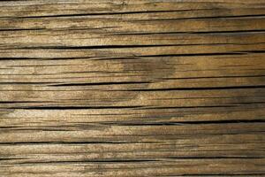 texture du bois avec des motifs naturels photo