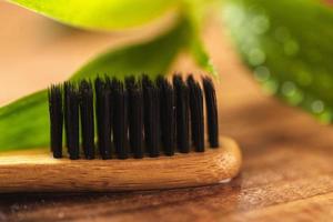 gros plan sur une plante de bambou et une brosse à dents écologique photo