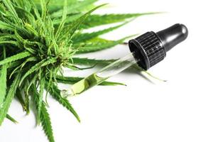 plante de cannabis et bouteille avec une huile de cbd photo