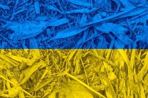 texture du drapeau de l'ukraine en arrière-plan photo