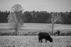 heure d'hiver en allemagne photo