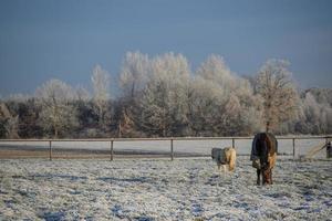 heure d'hiver en allemagne photo