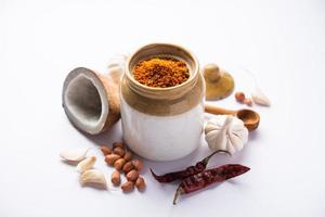 chutney à l'ail sec à base de noix de coco et de lahsun rouges piquants et secs qui est célèbre dans le maharashtra photo