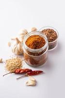 chutney de jawas ou javas à base de graines de lin, poudre de graines de lin, ail, piment rouge, relish indienne photo