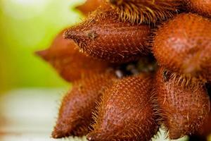 Libre de salak ou fruits de serpent photo