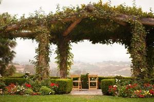 patio couvert de vigne et chaises avec vue sur la campagne photo