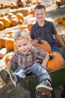 Deux petits garçons jouant dans la brouette au champ de citrouilles photo