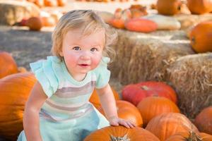 adorable petite fille s'amusant dans un ranch rustique au champ de citrouilles. photo