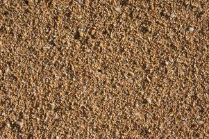 fond de sable trapical photo