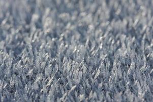 cristaux de givre du matin photo