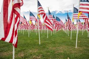 champ de drapeaux américains de la journée des anciens combattants agitant dans la brise. photo