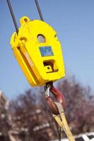 tête de grue jaune avec crochet rouge photo