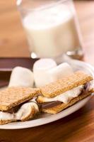 smores et lait photo