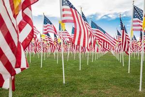 champ de drapeaux américains de la journée des anciens combattants agitant dans la brise. photo