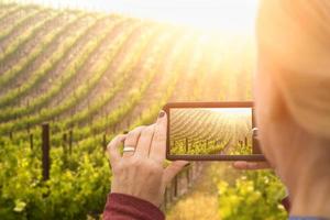 femme prenant des photos d'un vignoble avec son téléphone intelligent