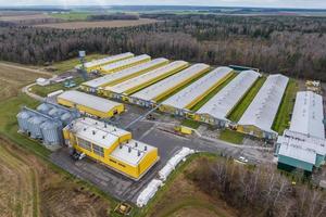 vue aérienne de rangées d'agro-fermes avec silos et complexe d'élevage agro-industriel photo