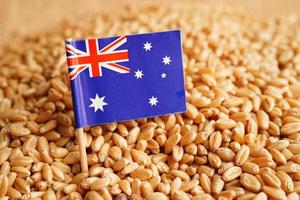 australie sur le blé grain, l'exportation commerciale et le concept d'économie. photo