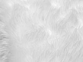fond de texture de laine propre blanche. laine de mouton naturelle légère. coton blanc sans couture. texture de fourrure moelleuse pour les concepteurs. tapis en laine blanc fragment gros plan... photo